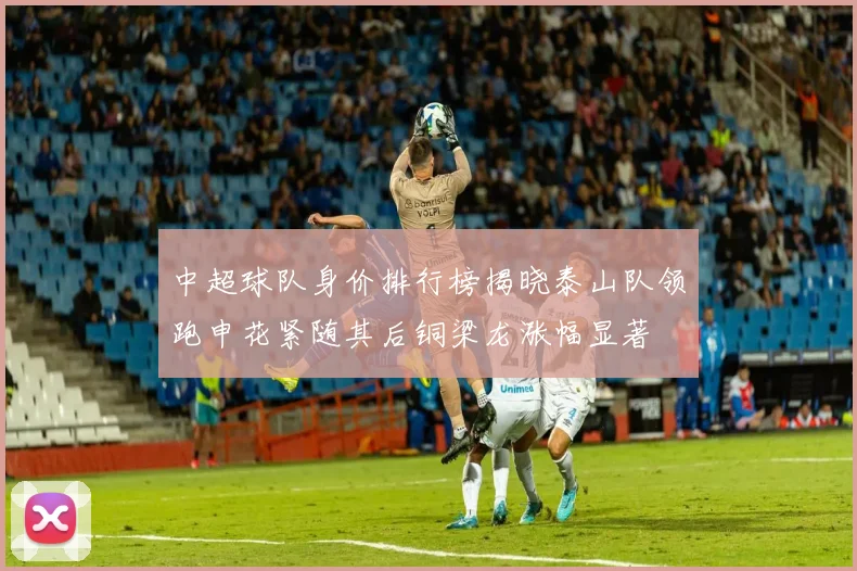 中超球队身价排行榜揭晓泰山队领跑申花紧随其后铜梁龙涨幅显著