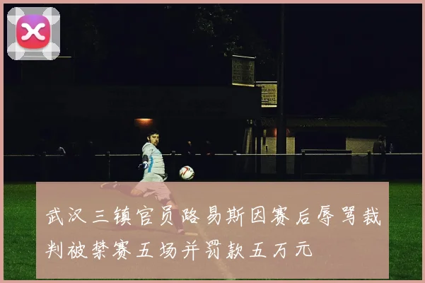 武汉三镇官员路易斯因赛后辱骂裁判被禁赛五场并罚款五万元