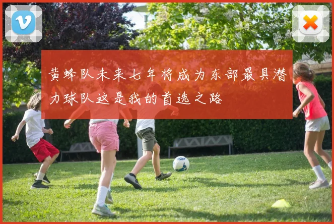 黄蜂队未来七年将成为东部最具潜力球队这是我的首选之路